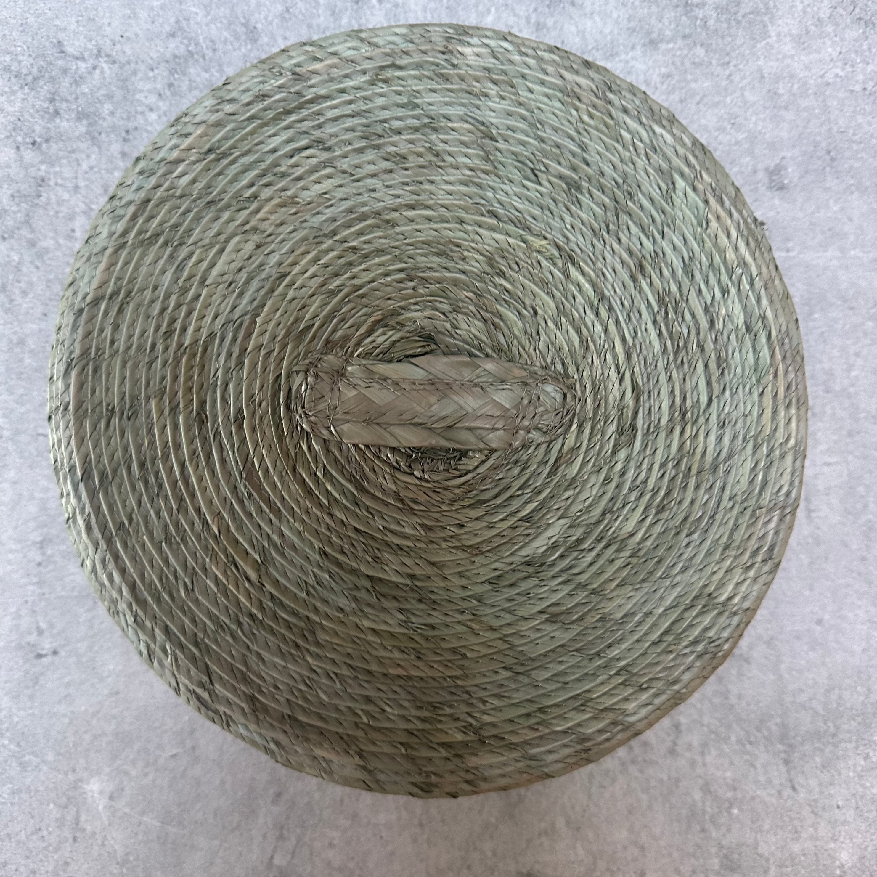 Tortillero de Palma Agave